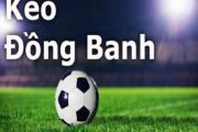 Kèo đồng banh là gì là điều mọi cược thủ đam mê bóng đá không thể không biết